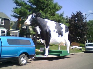Big Cow