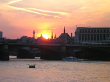 A Great Cormorant striking a pose on the Thames, possibly in honor of my birthday. (Jul 25, 2006)