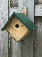 A look at the nestbox showing it bursting at the bottom seam (a cooling vent) with twigs. (5/22/2018, Shoreview, MN)