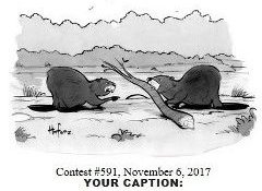 My beaver cartoon entry.