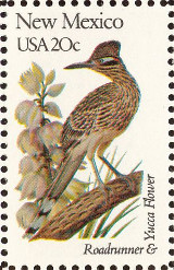 Greater Roadrunner