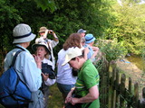 Members of the MBS, birdwatching on Hampstead Heath.