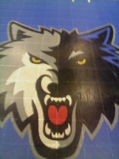 Wolves sportcourt floor