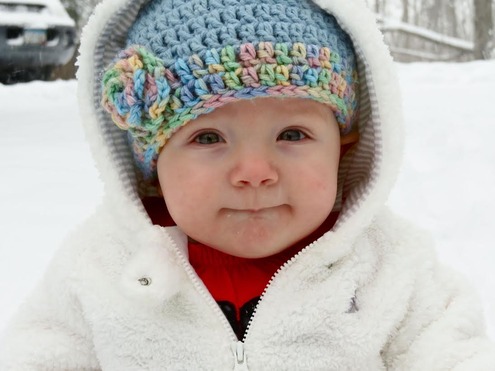 Meadow in the snow